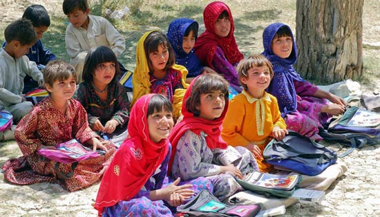 完整安装包的DDOS网页端